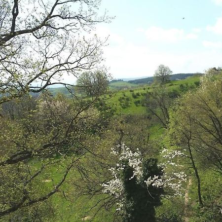 Studio Les Cadichons De La Grange Saint-Péray Zewnętrze zdjęcie